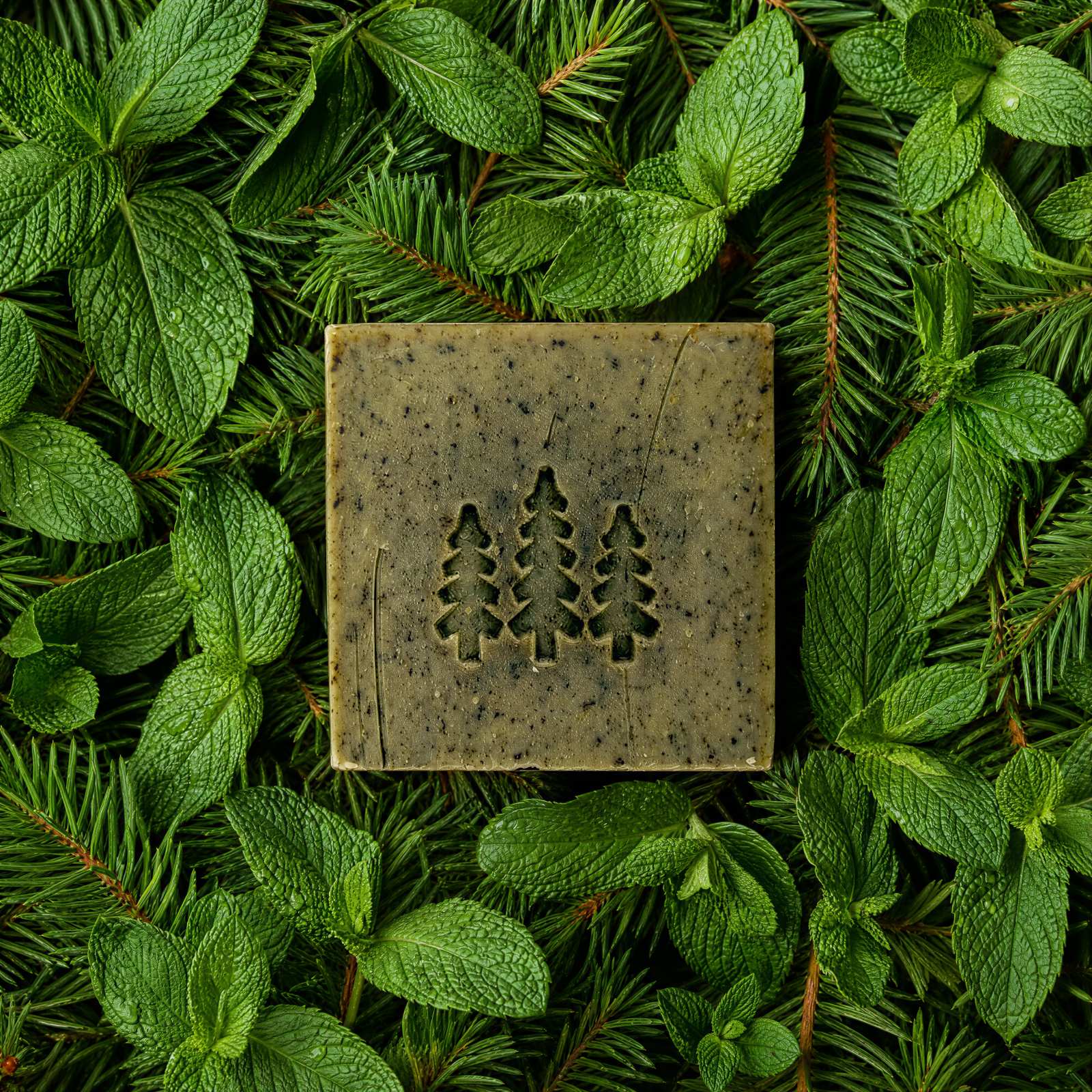 Mountain Mint