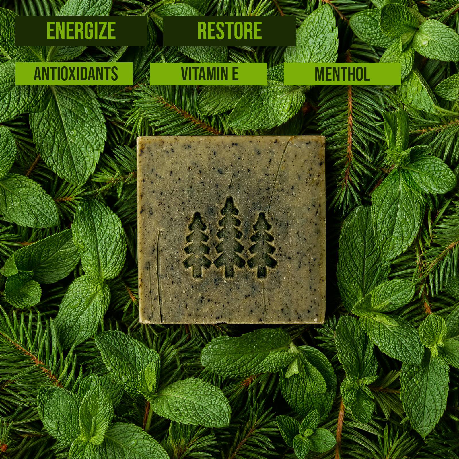 Mountain Mint