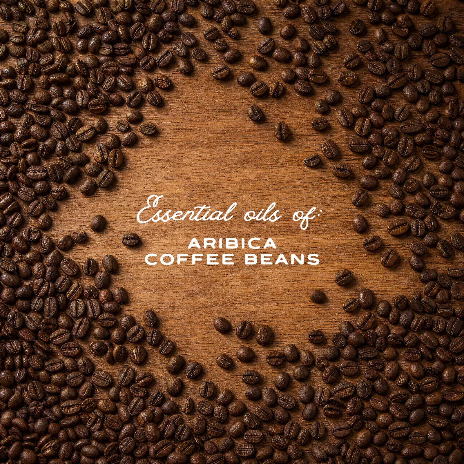Coffee Bean