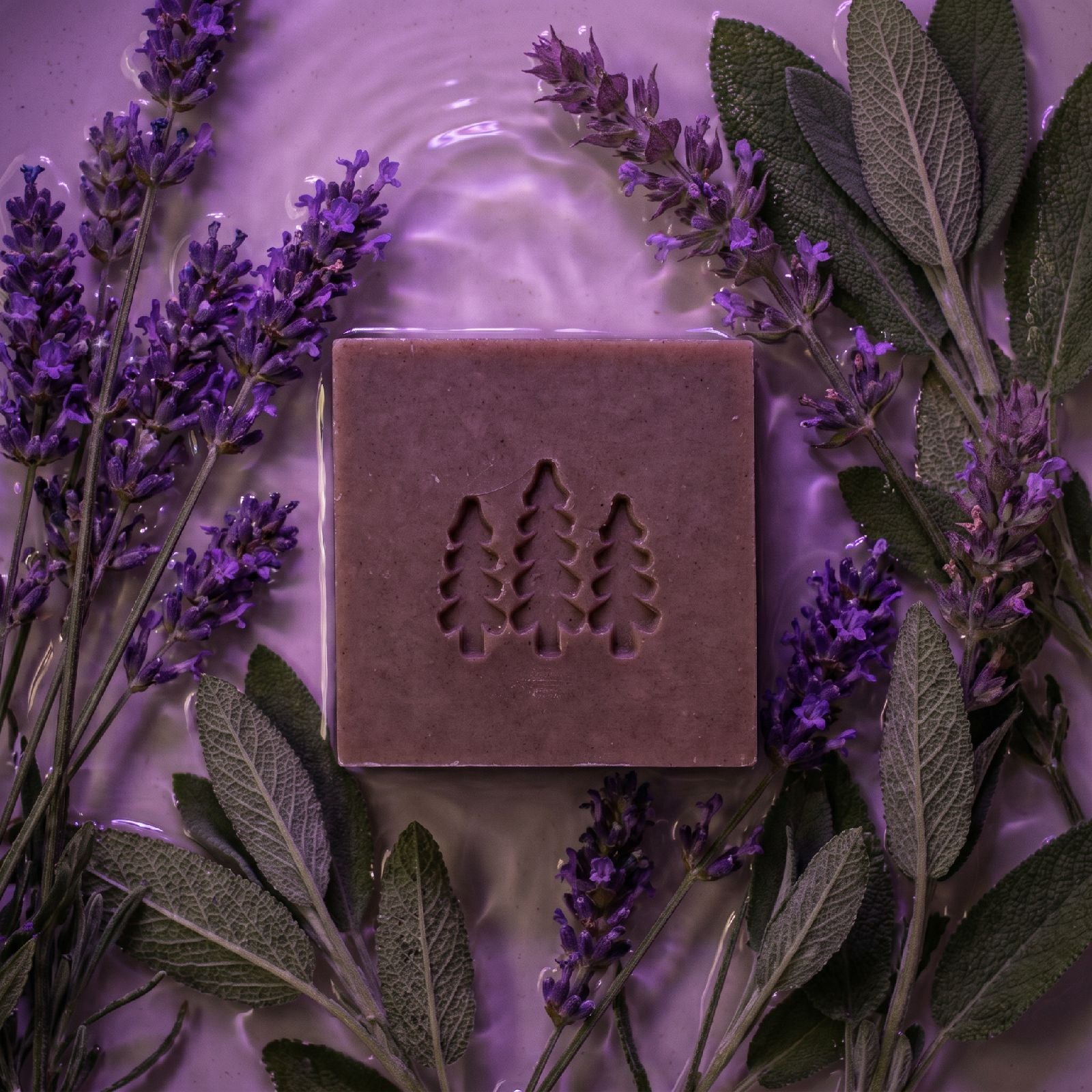 Lavender Sky