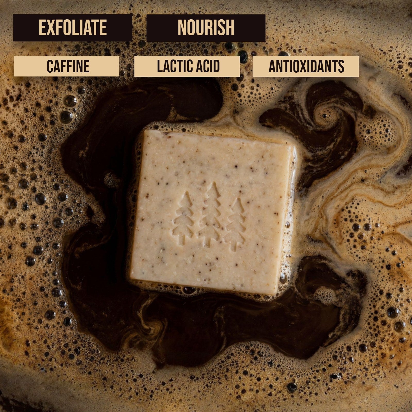 Coffee Bean