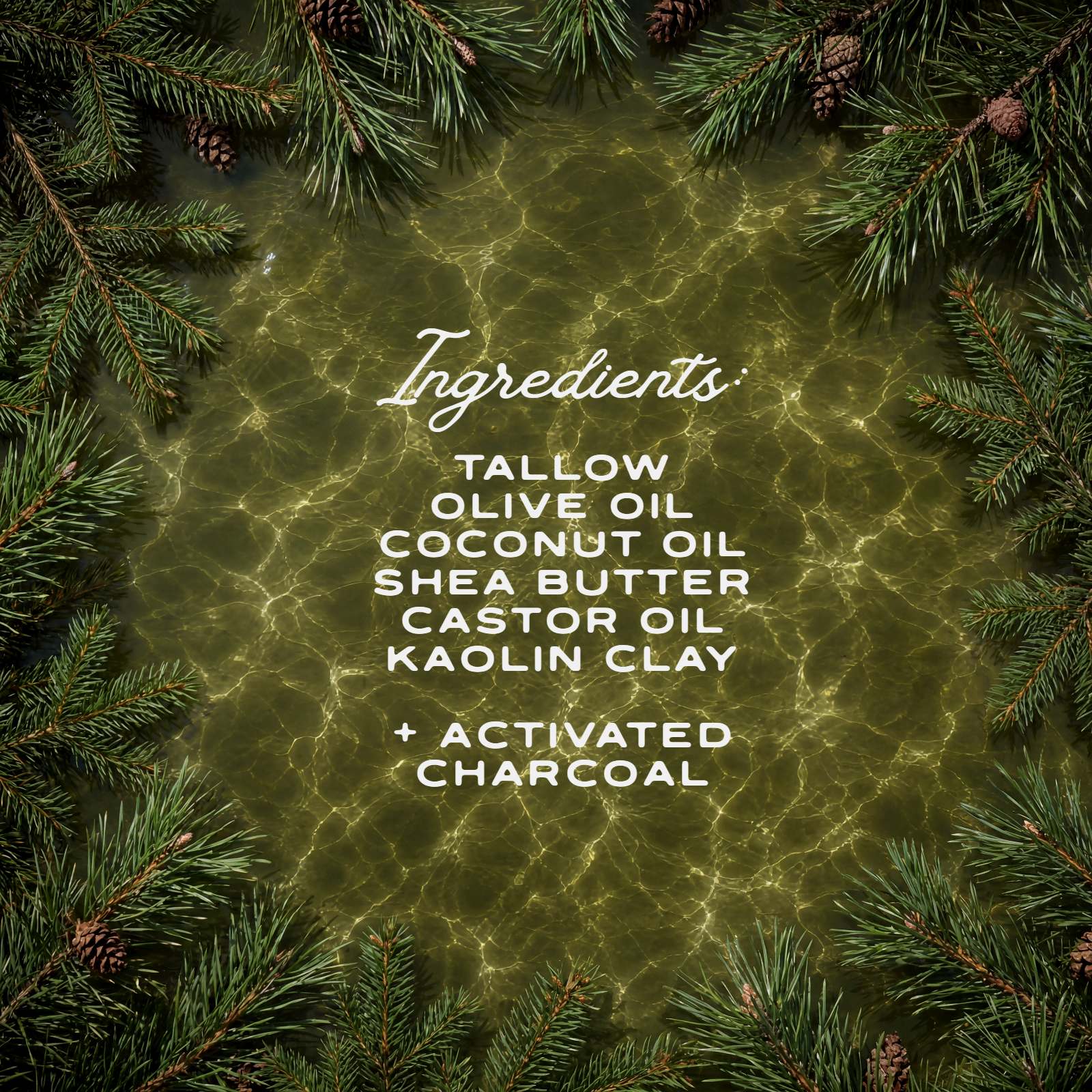 Woodland Pine